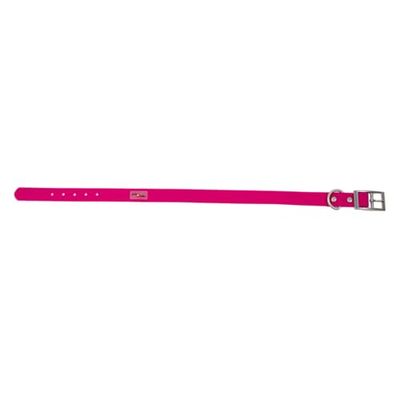 JACK AND VANILLA, Collier Fuchsia pour Chien, Design Moderne et Ajustable, matériaux durables, sécurité renforcée, Facile à Nettoyer, Taille M, Couleur Fuchsia, Modèle Sport