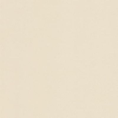 Coala Interior film Cuir NE43 - Effet cuir crème clair - Laize de 1,22m x 50m de longueur