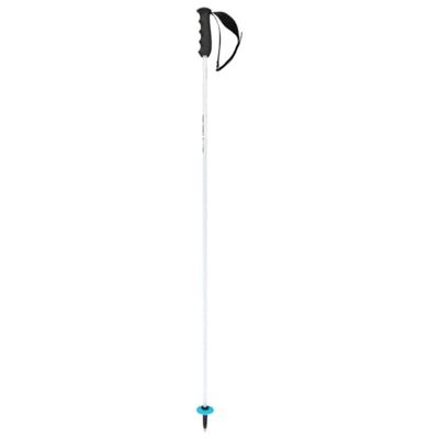 HEAD Unisex Adult Worldcup Rebels Carbon skistokken, wit/zwart/speedblauw, 115