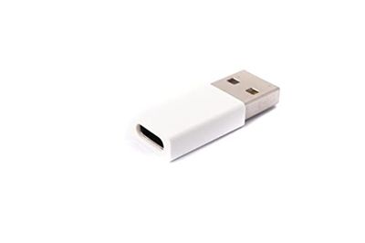System-S Adaptateur USB 3.1 Type C Femelle vers 2.0 Type A mâle en Blanc
