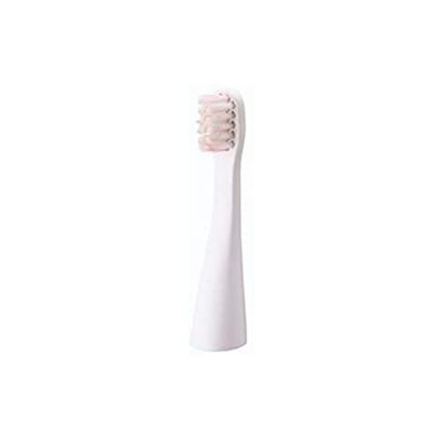 Panasonic Brossettes pour EW-DS11 (lot de 2)