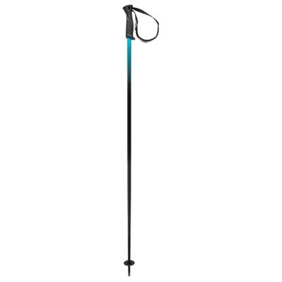HEAD Unisex Adult Frontside Black Speed blu skistokken, 135