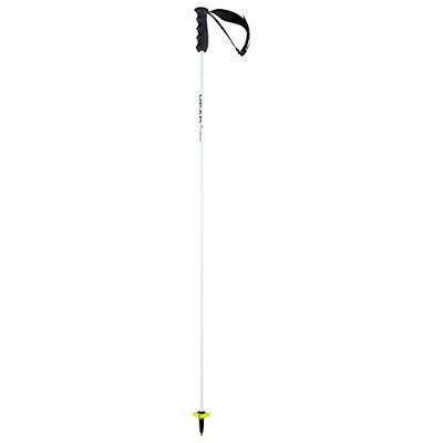 HEAD Unisex vuxen Worldcup Rebels Carbon skidstav, vit, 135