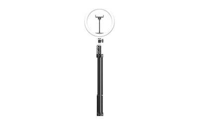 Mobility Lab ML305714 LED-ringenset met groene achtergrond, 2 m