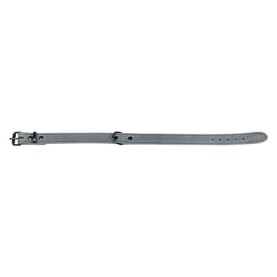 Jack and Vanilla – Collar para Perros con Etiqueta Negra – para Perros pequeños, medianos y Grandes – Ajustable, sólido, Cierre eficaz, Color Gris, tamaño 12 mm x 30 cm