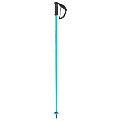 HEAD Unisex Adult Worldcup SL skistokken, Speed Blue/Black/White, 115