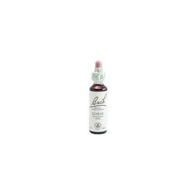 BACH Flores de BACH GORSE 20 ml, frasco de vidro de 20 ml com conta-gotas