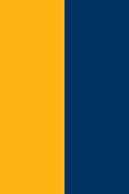Gold & Navy Blue NOTEBOOK - 6x9 inches Ruled Line with 120 Pages