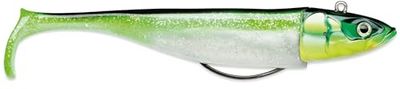 BISCAY SHAD 14-67G CGR
