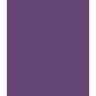ARK A4 240gsm Colored Card Stock Pack of 10 Sheets (Purple)