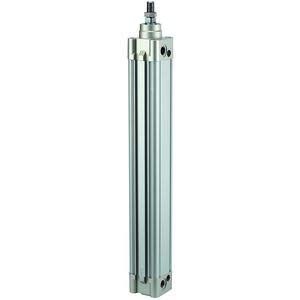 RIEGLER 114709-10.DMD.63600 standardcylinder »SE« dubbelverkande, kolvØ 63, hub 600, G 3/8, 1 st.