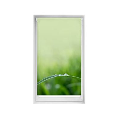 Blindecor Estor Estampado Easyfix Relax, Quietud, 85 x 150 cm