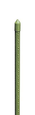 VERDELOOK Cannetta in bamboo plastificato reggipiante, altezza 60 cm, diametro 8/10 mm, verde