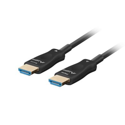 Lanberg Cavo HDMI CA-HDMI-30FB-0100-BK Nero 10 m