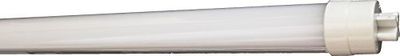 Electraline 63225 Tubo T8 LED, Attacco G13, 10W