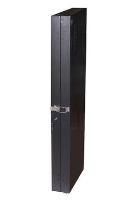LINK ARMADIO wandrek Verticale, 2U, 650 x 1082 x 115, kleur zwart per server Profondi dun A 92 cm merk