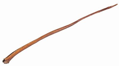 Nervo di Toro, Naturale, 70-80 cm, Massa