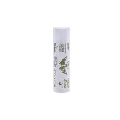 STICK LABIAL OLIVA 4ML 4ML ARTESANIA AGRICOLA