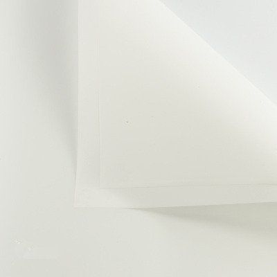 Papel de regalo de flores de estilo coreano, ramo floral, suministros de embalaje de regalo, varios colores, 20 unidades (blanco)