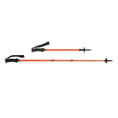 Salewa Must Aluminum Poles One Size
