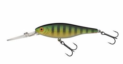Berkley Pulse Minnow Deep Fishing Lure, Twitchbait per pesci predatori d'acqua dolce, Jerkbait Azione esca dura in immersione profonda per pesce persico, trota, lancio preciso, 8 cm, Blue Flash