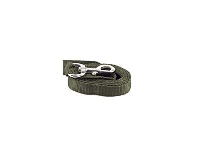 JANUEL - Correa para Perro con Correa de poliéster - Longitud 150 cm x Ancho 25 mm - Verde