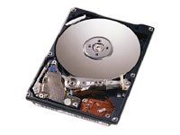 IBM Harde schijf 40GB 7200rpm voor IntelliStation