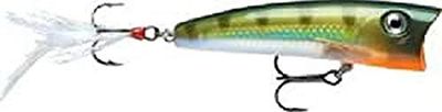 Rapala - Leurre de Pêche X-Rap Pop - Matériel de Pêche avec Grande Bouche Concave - Leurre Pêche d'Eau Douce et Mer - Profondeur de Nage Surface - 7cm / 11g - Fabriqué en Estonie - Yellow Perch