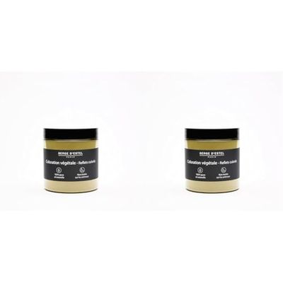 SERGE D'ESTEL PARIS Henné Naturel 100g Coloration Végétale Reflets Cuivrés 100% Naturelle Apporte Brillance et de Magnifiques Reflets Cuivrés (Lot de 2)