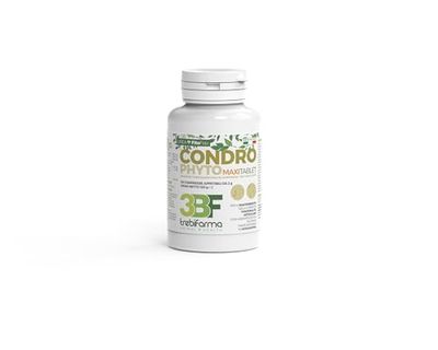 CONDROPHYTO 60CPR 2G