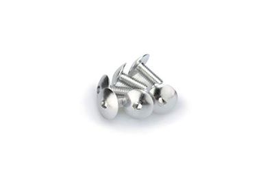 Puig 0689p Blister 6 vis, bombé, M6, 25 mm, Couleur Argent