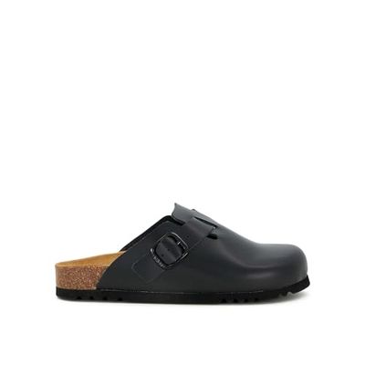 Scholl FAE New