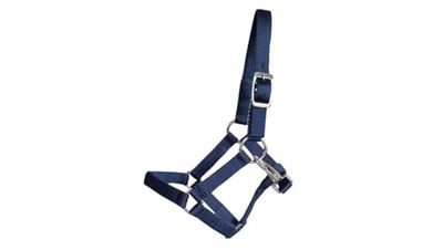 Rülke Holzspielzeug- Accessori Cavallo da Giardino, Colore Blu, 50052