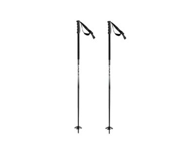 HEAD Unisexe - Adulte KORE Black White Bâton de Ski Noir/Blanc 110