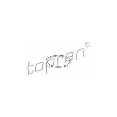 Topran – BOARD FOR WATER PUMP, 100 572