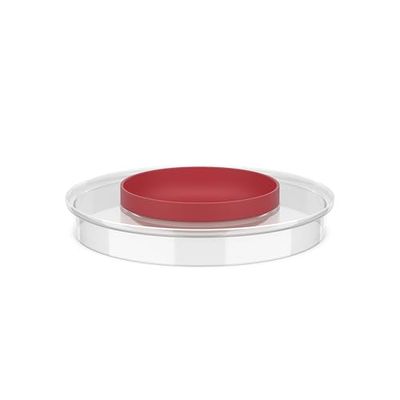 Mepal - Splashproof Lid Chef it - Fits 3000 ml Mixing Bowl - Extra Bowl Inside - No Splashes, Keeps The Countertop Clean - Microwave & Dishwasher Safe - 250 ml - Coral
