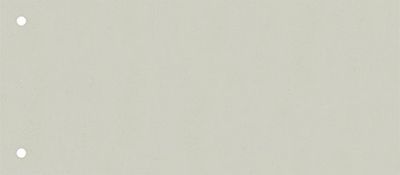 Brunnen 106604080 - Separadores (10,5 x 24 cm horizontal, cartón, perforados, 100 separadores), color gris