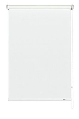 GARDINIA Estore de rolo de tração lateral para janelas, opaco, translúcido, proteção da privacidade, proteção contra brilho, montagem com broca, branco, 82 x 180 cm (largura x altura)
