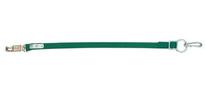 PFIFF 005010-20-1 Bull Longe d'attache pour camion Vert