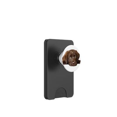 Chocolate Lab Perro Marrón Labrador Retriever Cachorro Mamá Padre PopSockets PopWallet para MagSafe