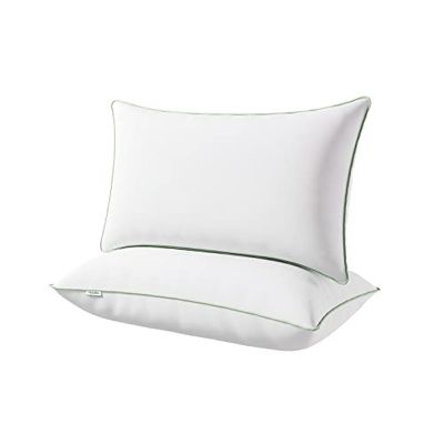 Novilla Oreiller 40x80 Lot de 2 Coussin Blanc | Garnissage 100% Fibre Polyester Bon Soutien du Cou | Oreillers Dodo Moelleux pour Hotellerie Lit Canapé | Respirant et Doux Carré avec Fermeture Éclair