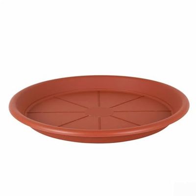 Dem Plato para Maceta ø 22 x 2,8 cm (12 Unidades)