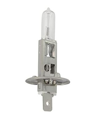 Greenstar 23826 - Lampadina elettrica tosaerba 12 V