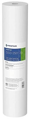 PENTAIR - Cartuccia filtrante - DGD-2501-20 Big Blue - Filtro acqua potabile - Riduce i sedimenti - 20" x 4-1/2", 25/1 micron