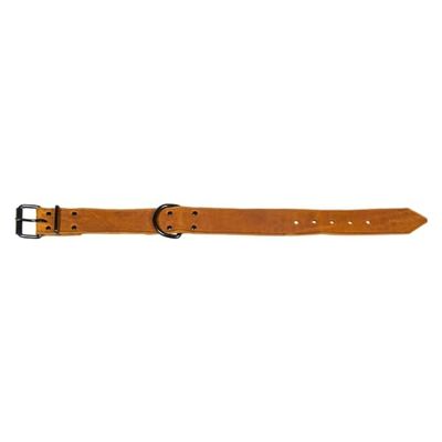 Jack and Vanilla - Collier Large pour Chien Black Label - pour Chiens de Petite, Moyenne et Grande Tailles - Ajustable, Solide, Fermeture Efficace - Couleur Cognac, Taille 50 mm x 75 cm