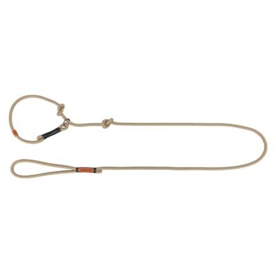 TRIXIE Guinzaglio per cani BE Nordic Retriein, S – M, lunghezza 1,70 m, regolabile, colore: sabbia/nero – Guinzaglio per cani con fermo, ideale come guinzaglio da addestramento – per cani di piccola e