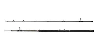 Penn Regiment IV Boothengel, Zoutwater visser Zeevis Kabeljauw, Zee Paling, Baars, Koolvis, Makreel, Haai, Sterk Lichtgewicht Veelzijdig, Zilver, 2.10m Snel Ambidexter Hengels