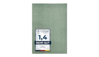 andiamo Tappeto Arezzo lavabile, per soggiorno, sala da pranzo, facile da pulire, elegante, confortevole, tappeto in pelliccia, tinta unita, 120 x 170 cm, verde salvia