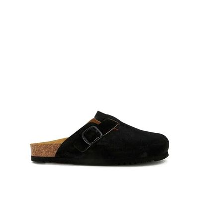 Scholl FAE New