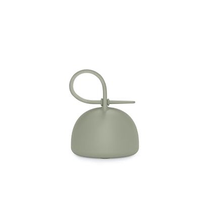 Suavinex, Fopspeenhouder voor baby's, flexibele siliconen hoes voor 2 fopspeen, met draaggreep om op te hangen, +0 maanden, kleur Essence, groen